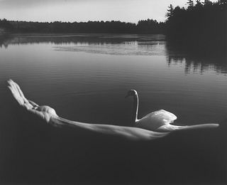 Arno Rafael Minkkinen (1945)  - Foster's Swan, 1994