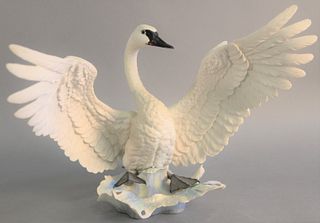 Boehm "Trumpeter Swan" porcelain sculpture, by Edward Marshall #436. ht. 14 1/4".