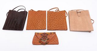 Anna Trzebinski & Other Ostrich & Leather Bags, 5