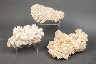 Organic Specimens Incl. Crystals & Coral, 3