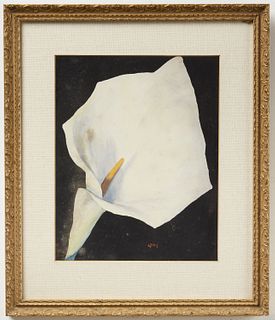 Calla Lilly by Orville Libby