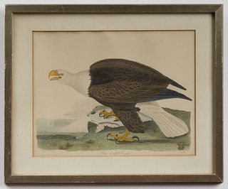 Two Wilson Bird Prints Eagle & Sandpiper