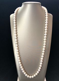 White Fresh Water Pearl Necklace with 14k Yellow Gold Starfish Clasp
