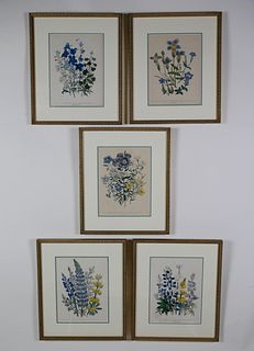 Set of Five 19th Century English Floral Botanical Prints