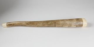 Ancient Walrus Penile Bone Oosik