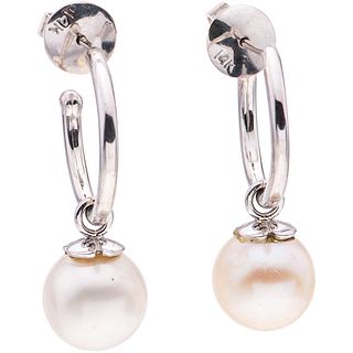CULTURED PEARLS EARRINGS. 14K WHITE GOLD