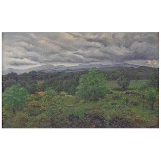 NICOLÁS MORENO, Paisaje, Signed and dated 1963, Oil on canvas, 31.4 x 51.1" (80 x 130 cm), Certificate