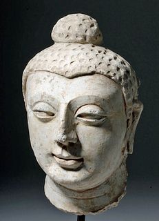 Naturalistic 1st C. Gandharan Stucco Buddha Head