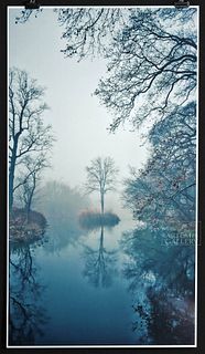 Andrew White Photograph Single Tree Fog 2015