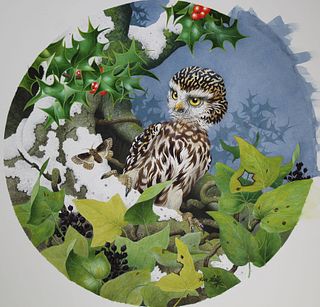 Ken Lilly (1929 - 1996) "Little Owl"