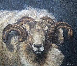 Keith Bowen (B. 1950) "Welsh Mountain Sheep"