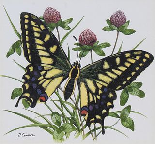 Paul Connor (20th C) "Swallowtail Butterfly"