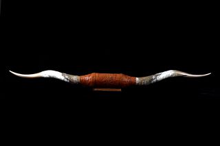 Texas Longhorn Stamped Leather Wall Mount