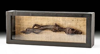 Fine Egyptian Mummified Baby Crocodile