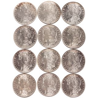 A Dozen Mint State Morgan Silver Dollars