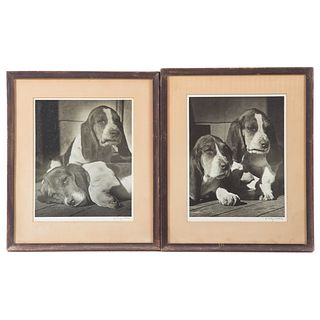 A. Aubrey Bodine. Two Basset Hound Photographs