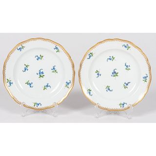 A Pair of  Meissen Gold Trim Plates with Bacopa Flowers