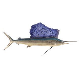 A Carved and Painted Wooden Sailfish