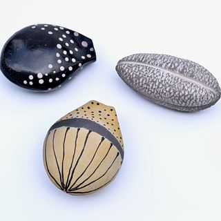 Seed Pod Collection(yellow, black, and textured)