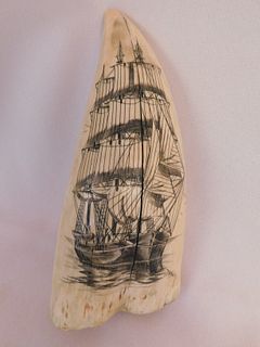 SCRIMSHAW WHALE TOOTH - VINCE