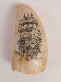WHALE TOOTH - SHIP SCRIMSHAW