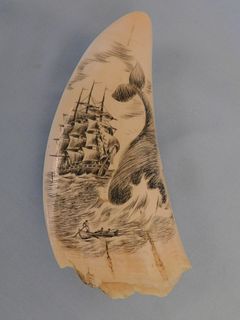 SCRIMSHAW WHALE TOOTH - WHALE ATTACK