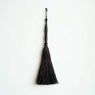 Black Spindle Broom 03