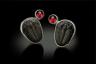 Natural Trilobite Garnet Stone Earrings