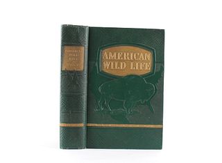 American Wild Life Illustrated by Wise & Co 1940