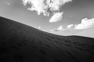 David Eichler, The Dark Side of the Dune