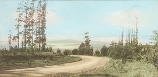 Antique Hand-Tinted Photo Mt Tamalpais c1910