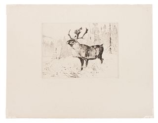 Carl Clemens Moritz Rungius
(German/American, 1869-1959)
A Woodland Stag