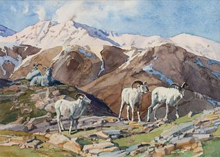 Stephen C. Elliott
(American, b. 1943)
Big Horn Sheep