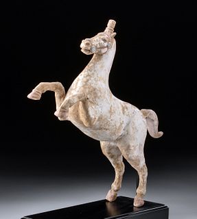Greek Canosan Polychrome Terracotta Rearing Horse