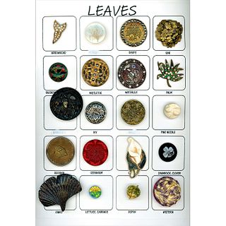 One Full Card Of Assorted Material Leaf Buttons
