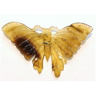A Magnificent Carved Natural Horn Butterfly Button