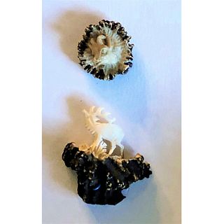 A Pair Of Carved Antler Reaslistic Shaped Buttons