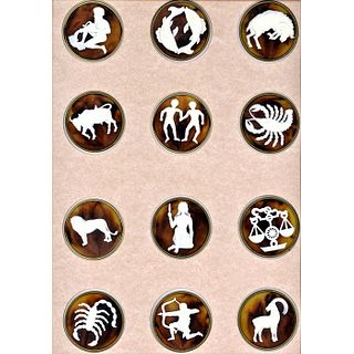 Complete Molded Mock Tortoise Set Of Zodiac Buttons
