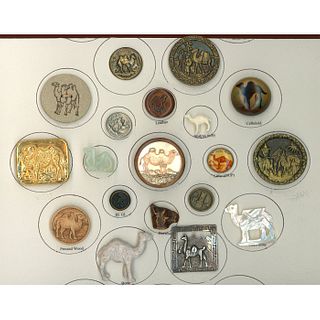 A Partial Card Of Camel Buttons In Assorted Materials