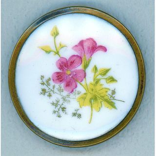 A Scarce Authentic Botanical Flower Porcelain Button