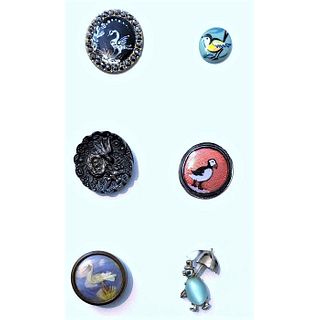 Small Card Of Assorted Material Bird Buttons