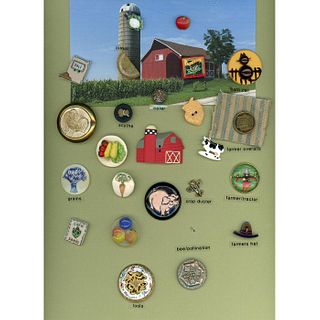 A Card Of Farm Theme Buttons In Assorted Materials.