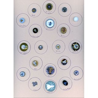 A Card Of Div 1 & 3 Assorted Material Insect Buttons