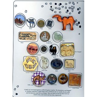 A Card Of Assorted Material Assorted Camel Buttons