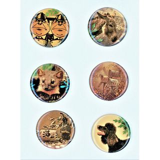 A Small Card Of Watch Crystal Animal Buttons