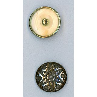 Small Card Of 18Th Century Bone Back Buttons