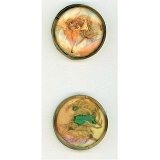 A Pair Of 18Th Century Under Glass Buttons