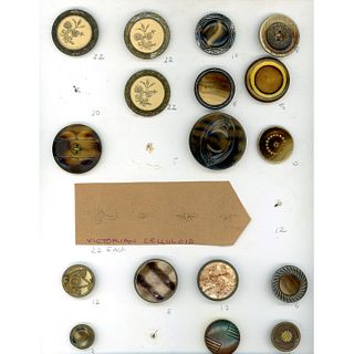 1 Card Plus Of Division 1 Victorian Cellullid Buttons