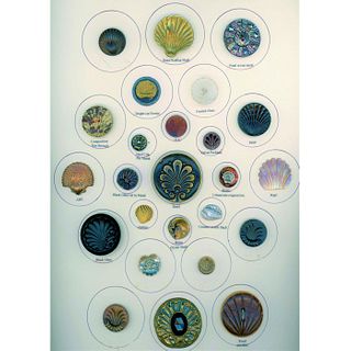 A Card Of Assorted Material Buttons Spec. To Shells