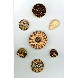 Sm. Card Of Natural Material Buttons Incl. Pine Needles